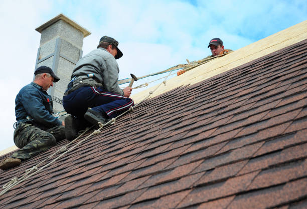 Best Storm Damage Roof Repair  in Reynolds Heights, PA